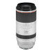 Canon RF 100-500mm f/4.5-7.1 L IS USM Lens