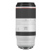 Canon RF 100-500mm f/4.5-7.1 L IS USM Lens