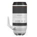 Canon RF 100-500mm f/4.5-7.1 L IS USM Lens