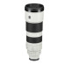 Sony FE 200-600mm f/5.6-6.3 G OSS Lens