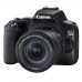Canon EOS 250D + EF-S 18-55mm f4-5.6 IS STM (Image Stabilized)