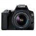 Canon EOS 250D + EF-S 18-55mm F3.5-5.6 III + Bag + 16 Gig SD Card Travel Kit